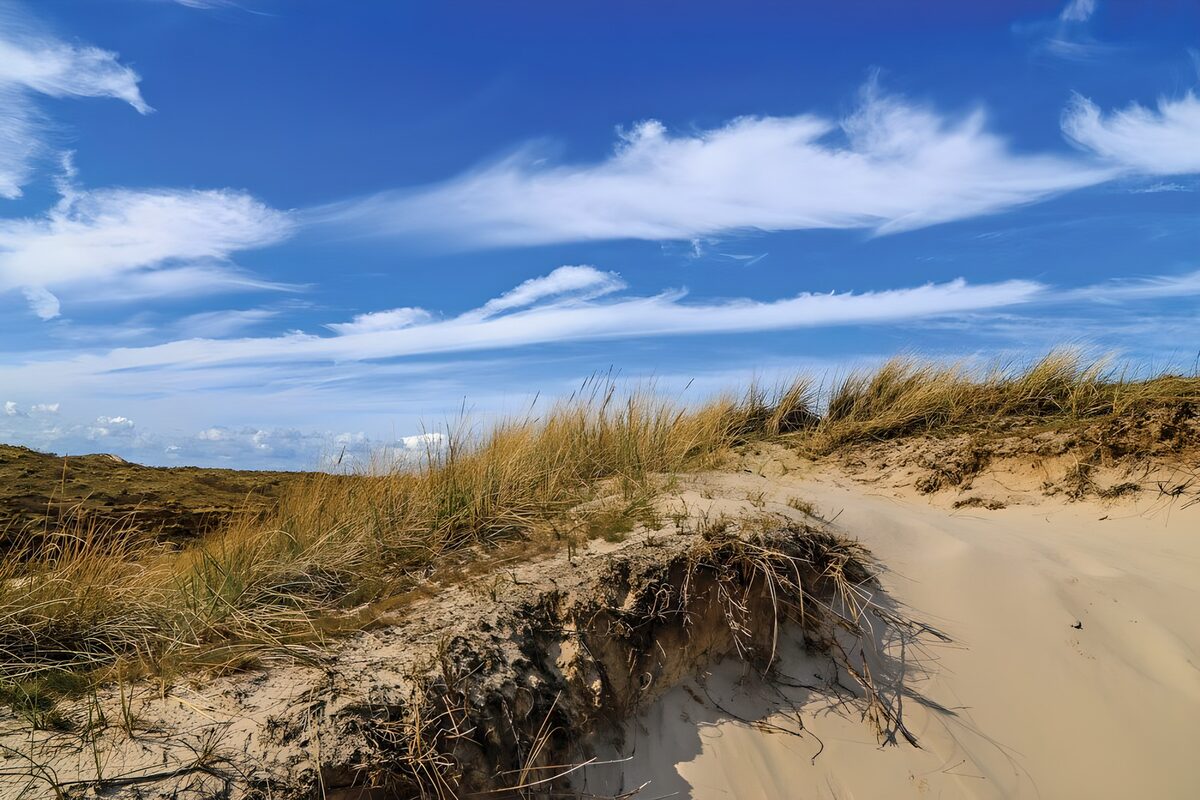TPDE64324: Dünen auf Sylt