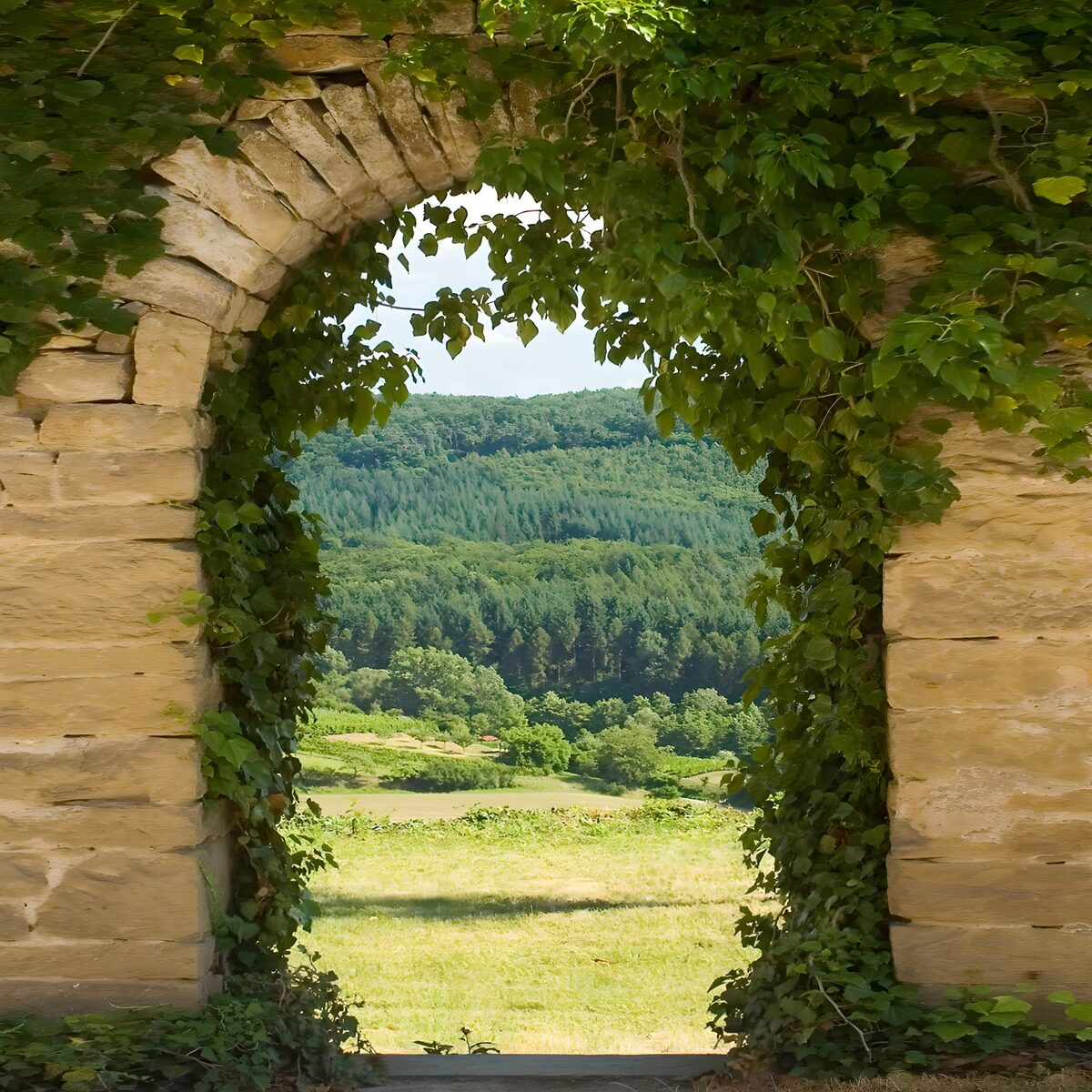 TPDE12783: Aussicht auf die Hügel in der Dordogne