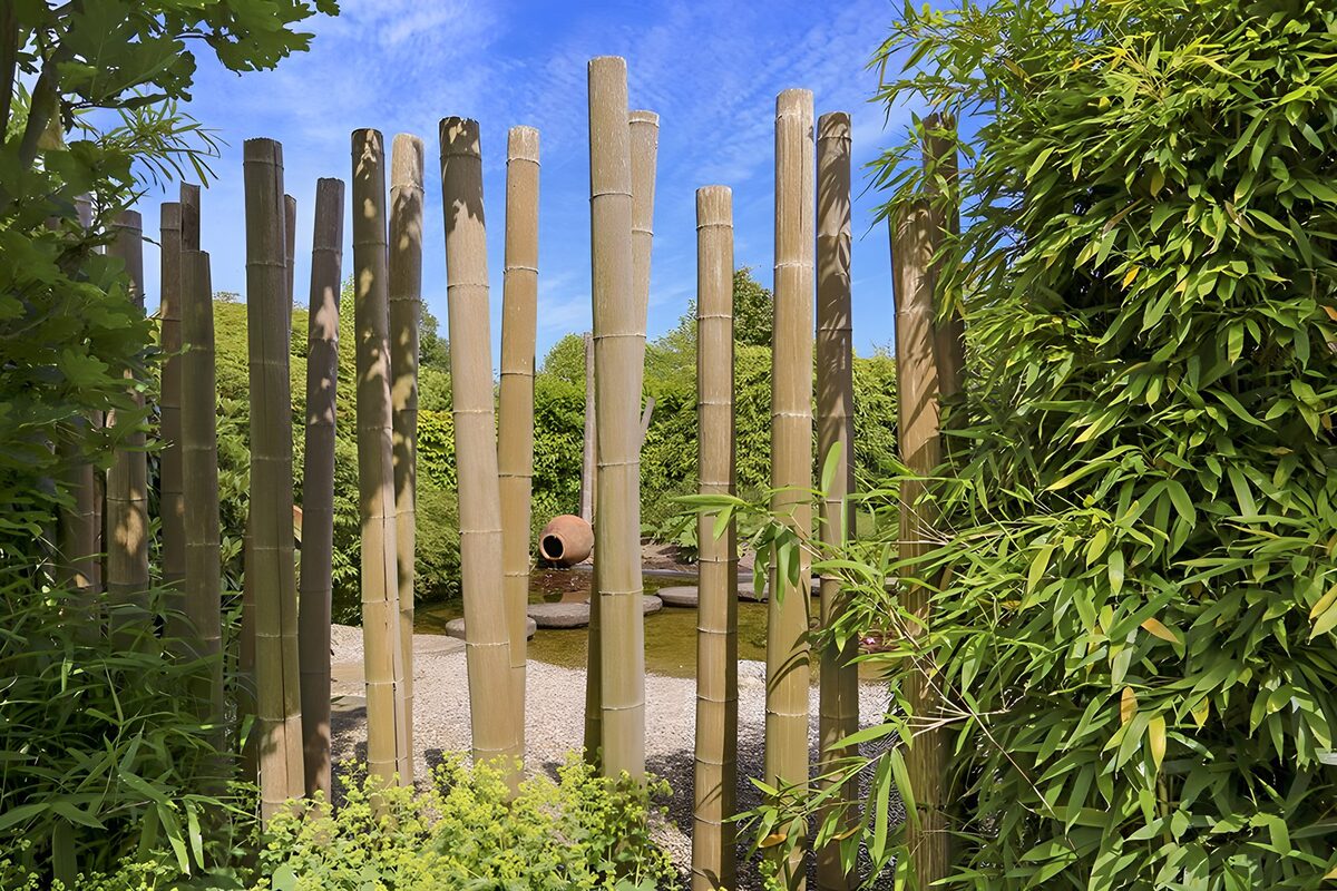 Bambus, ein Muß in einem japanischen Garten