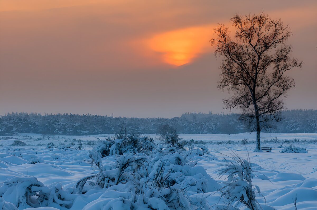 Winterlandschaft bei Sonnenuntergang