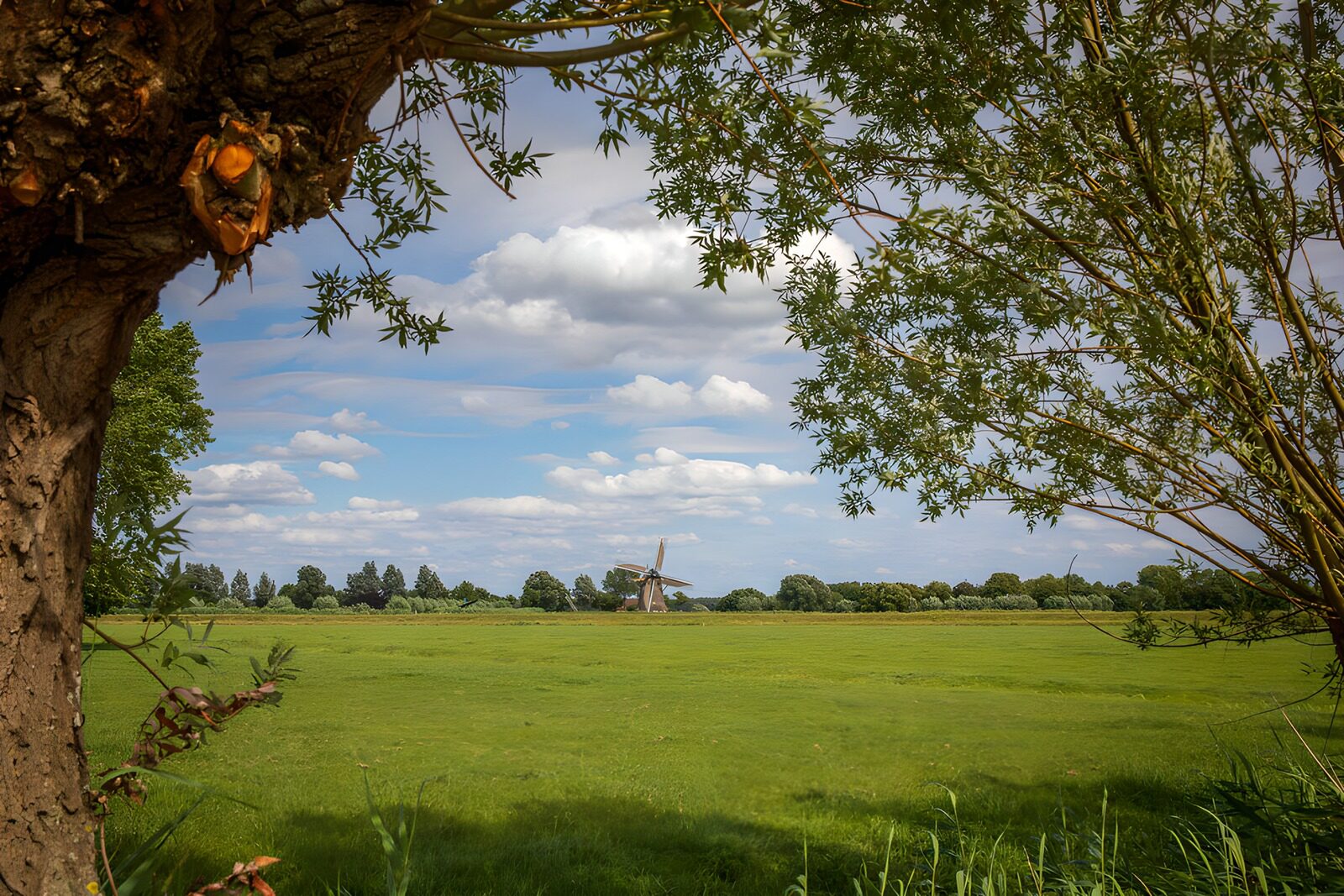TPDE70678: Idylle mit Windmühle in der Natur