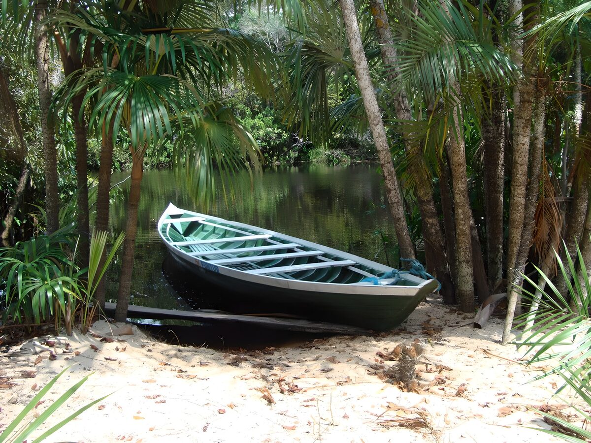 TPDE43146: ein Ruderboot in  Mangroven 