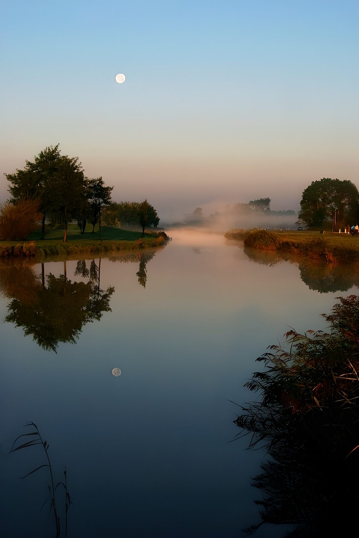 TPDE93792: Wasser und Bäume im Nebel