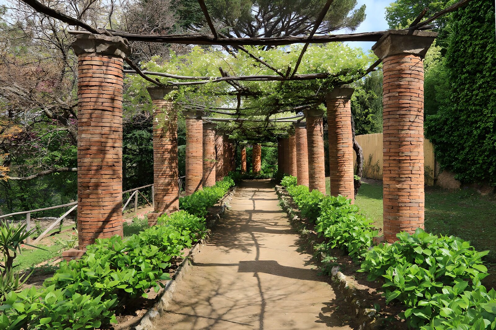 TPDE55194: Gartenweg unter der Pergola