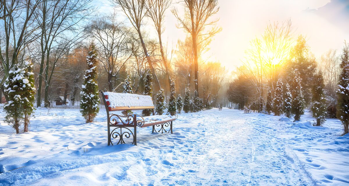 TPDE10129: Winterlicher Parkmoment bei Sonnenaufgang