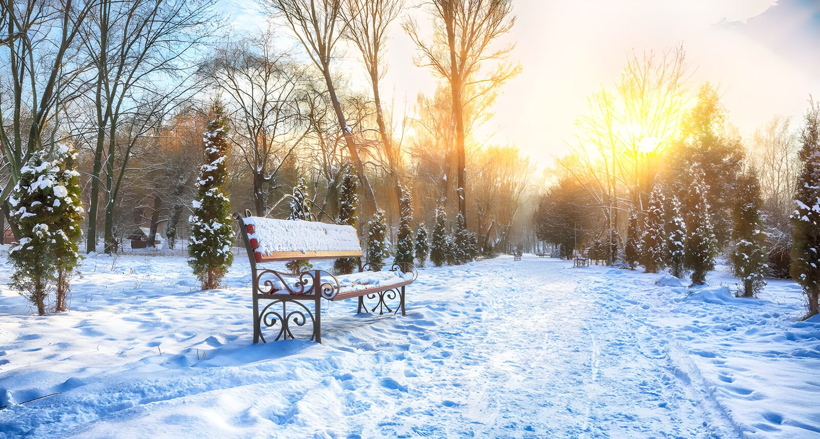 TPDE10129: Winterlicher Parkmoment bei Sonnenaufgang