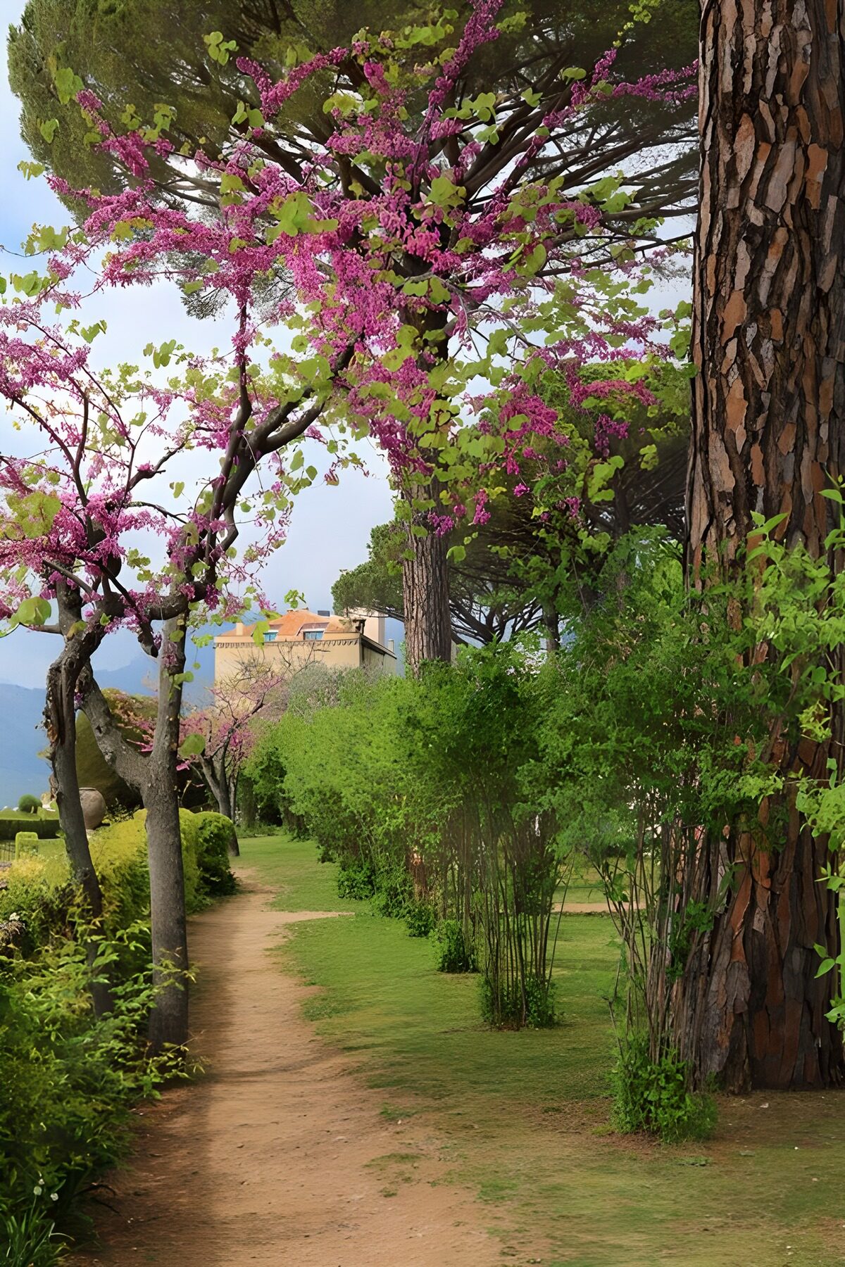TPDE18293: Blühender Gartenweg im Frühling