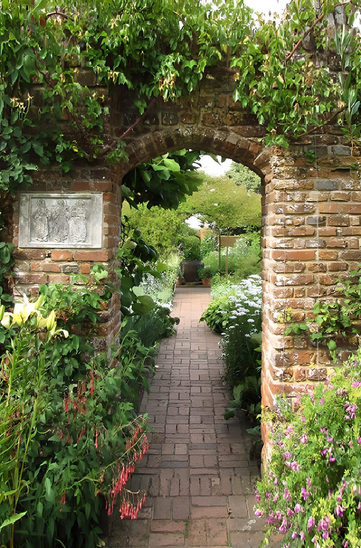 TPDE32230: mittelalterliche Mauer  mit Kletterpflanzen und Durchgang zu einem Garten