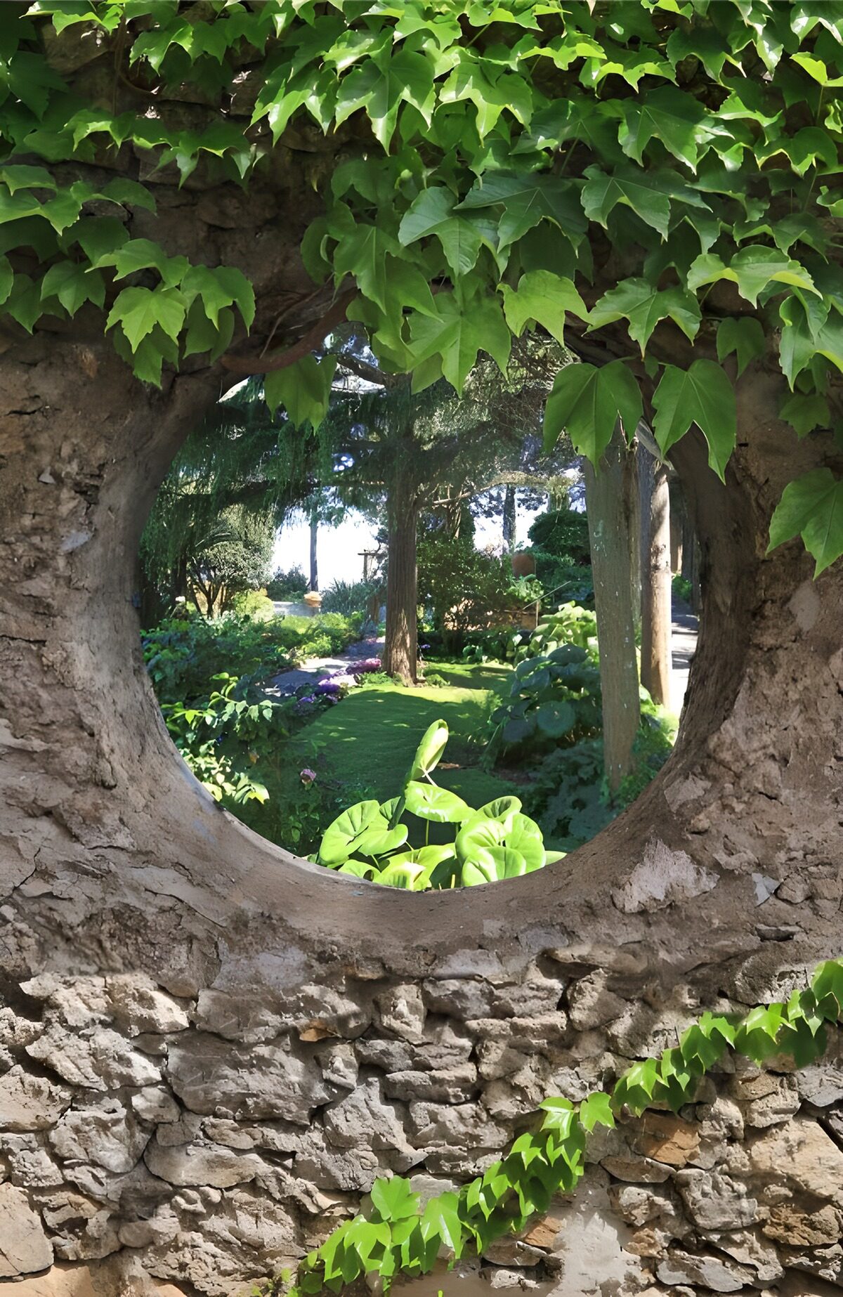 TPDE38064: Blick durch den Garten