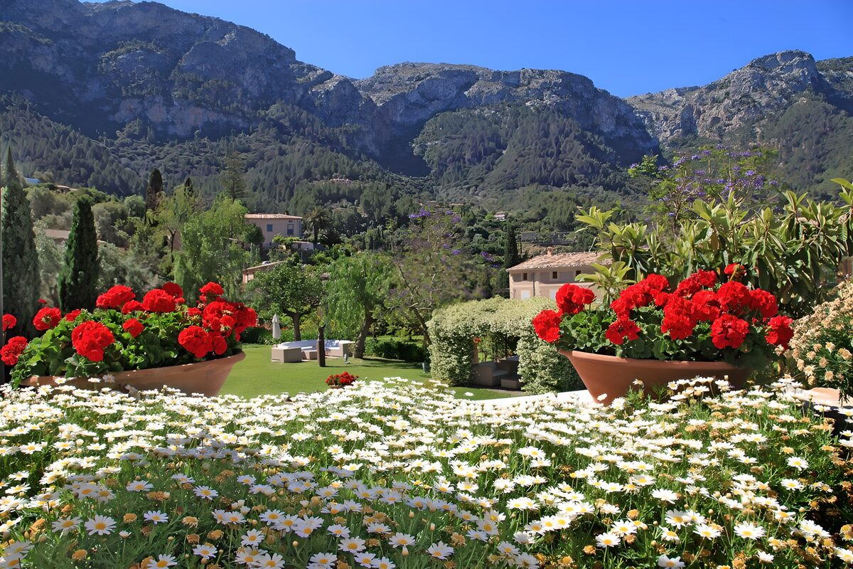 TPDE69437: märchenhafte Landschaft im Sommer mit blühenden Blumen und Pflanzen