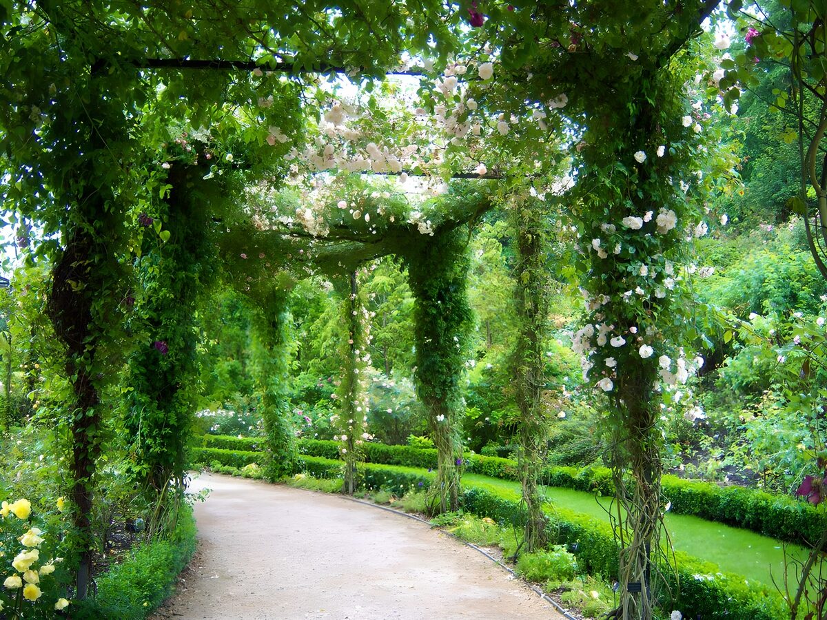 TPDE89180: Blühender Gartenweg mit Rosenbögen