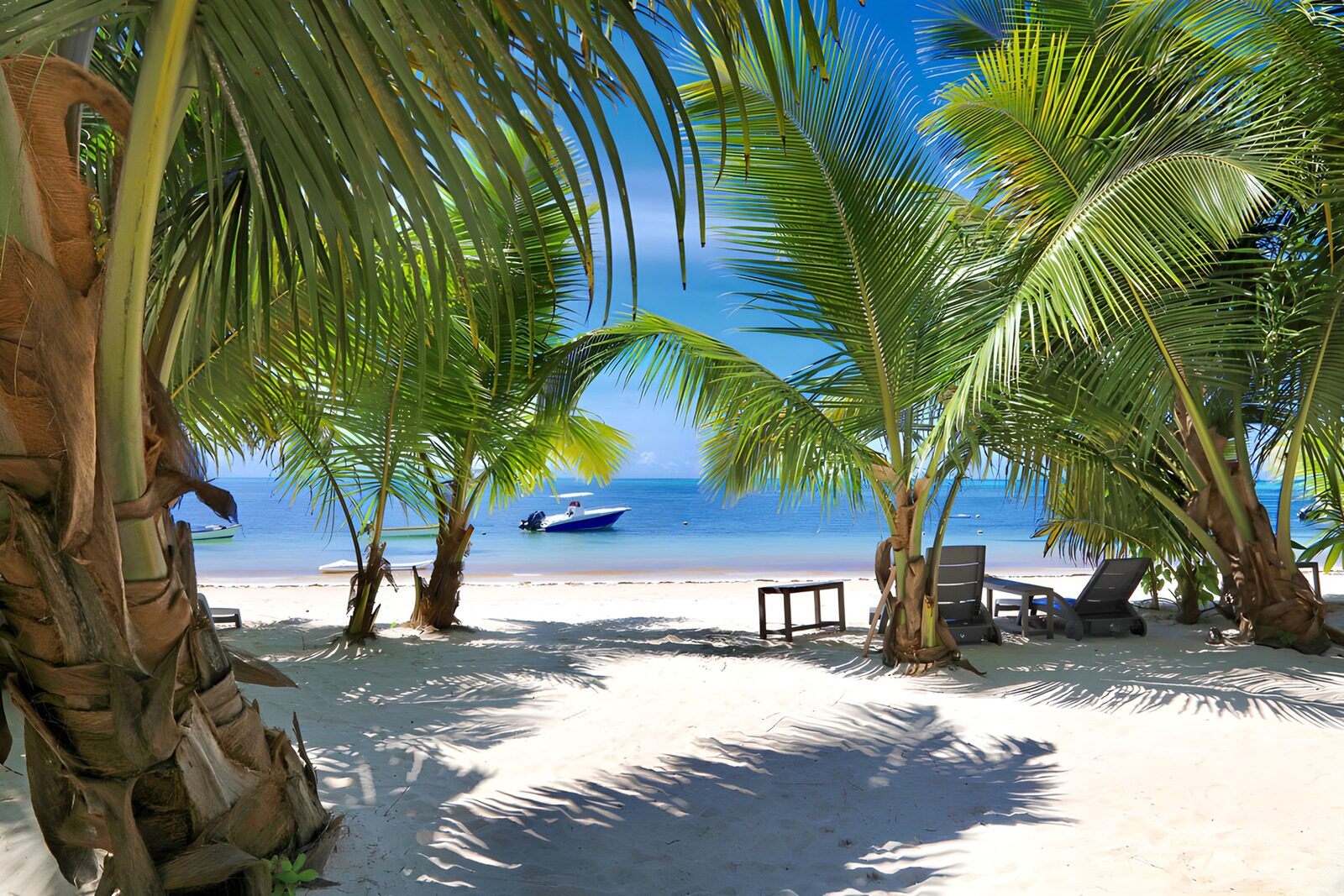 TPDE70489: Tropischer Strand mit Palmen