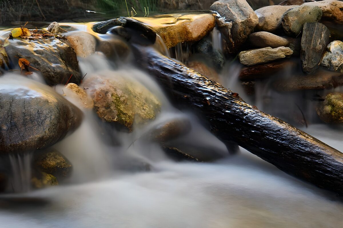 TPDE55244: Baumstamm im tosenden Wasser eines Wasserfall