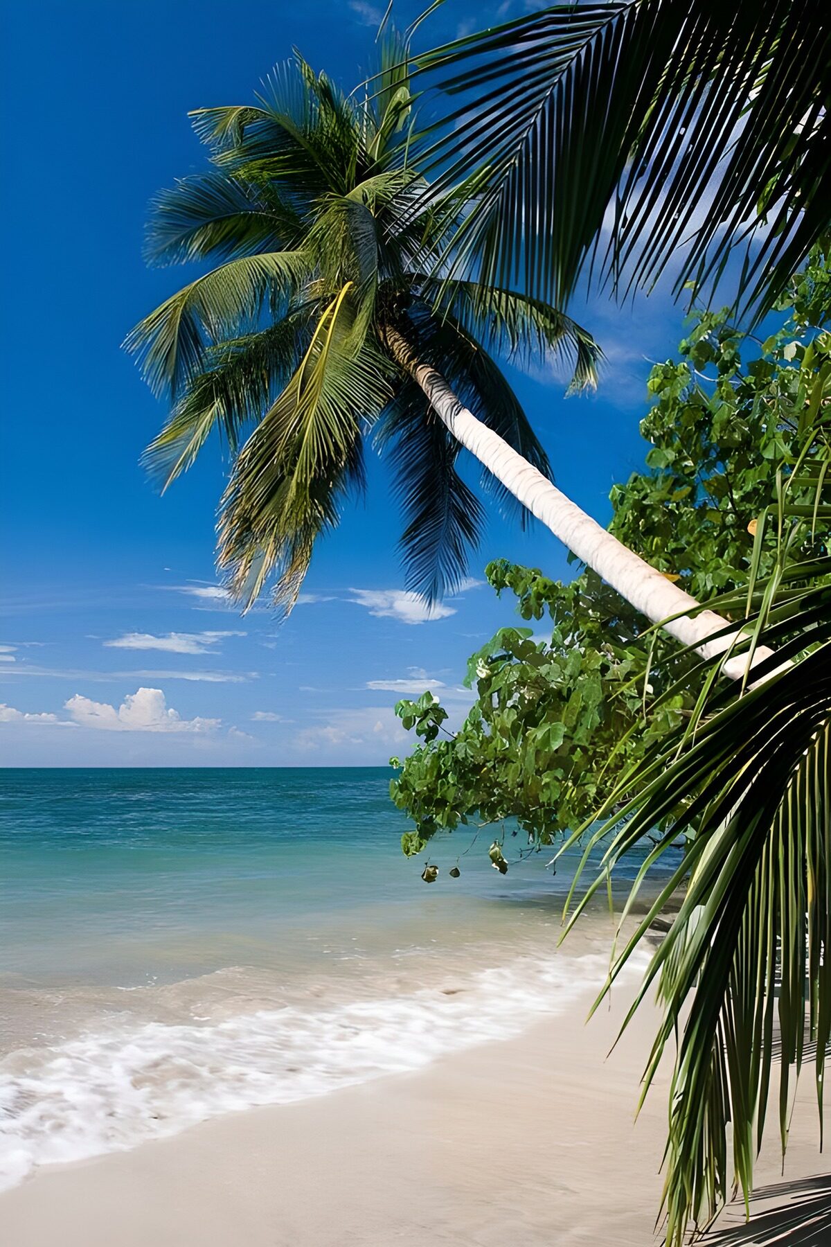 TPDE59124: exotische Natur
