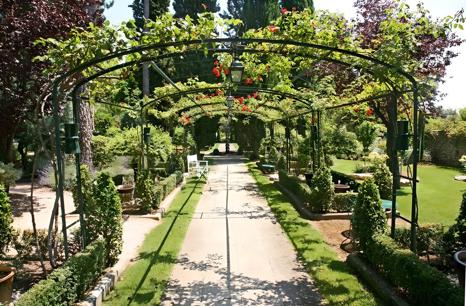 TPDE86507:  Rosen am Spalier in einem französischen Garten Version 3
