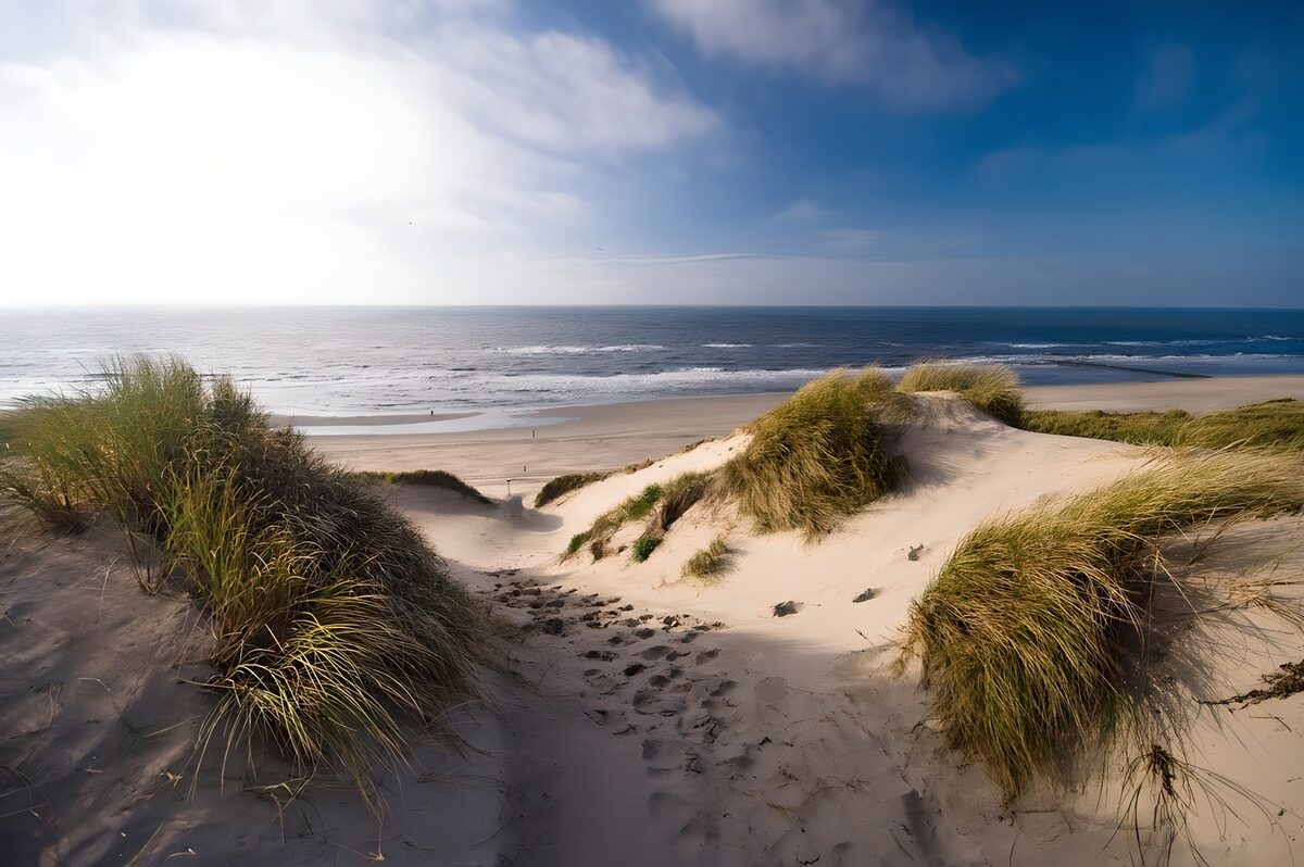 TPDE97607: Blick auf den Nord-Friesischer Strand