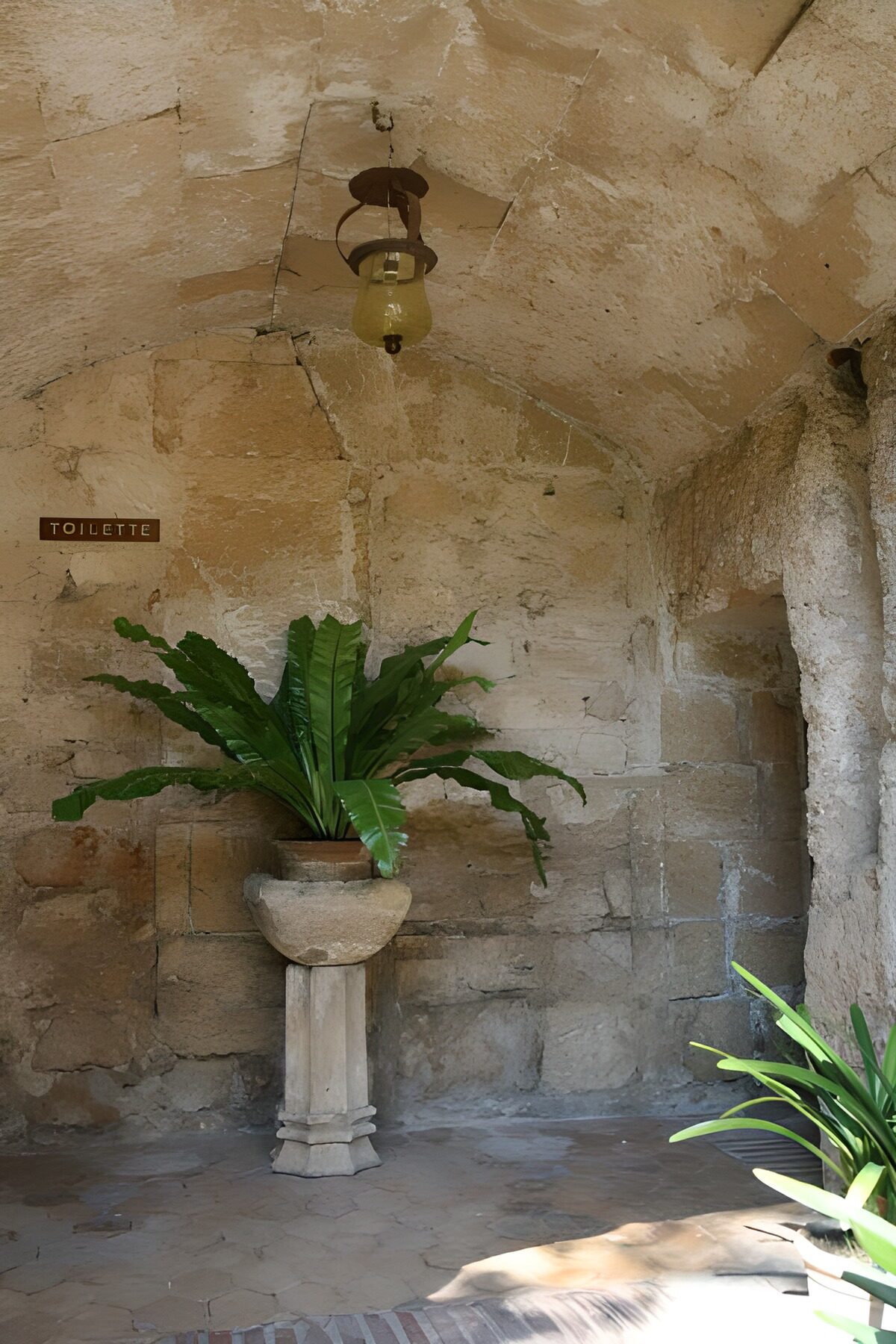 TPDE85787: Pflanze in Blumenkübel in einer Kapelle mit Laterne