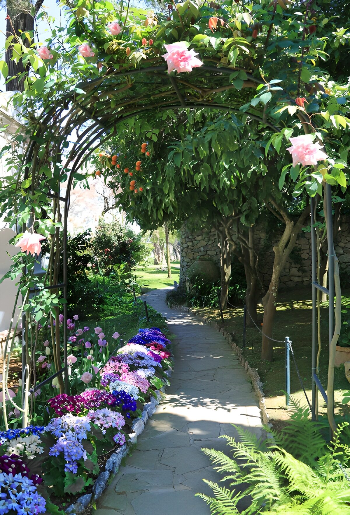 TPDE15199: Blühender Gartenweg mit Pflanzenbogen