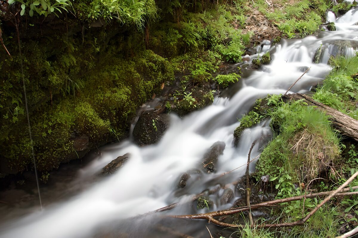 das Wasser von dem Bach strömt kraftvoll über Felsblöcke mit Moos und grünes Gebüsch