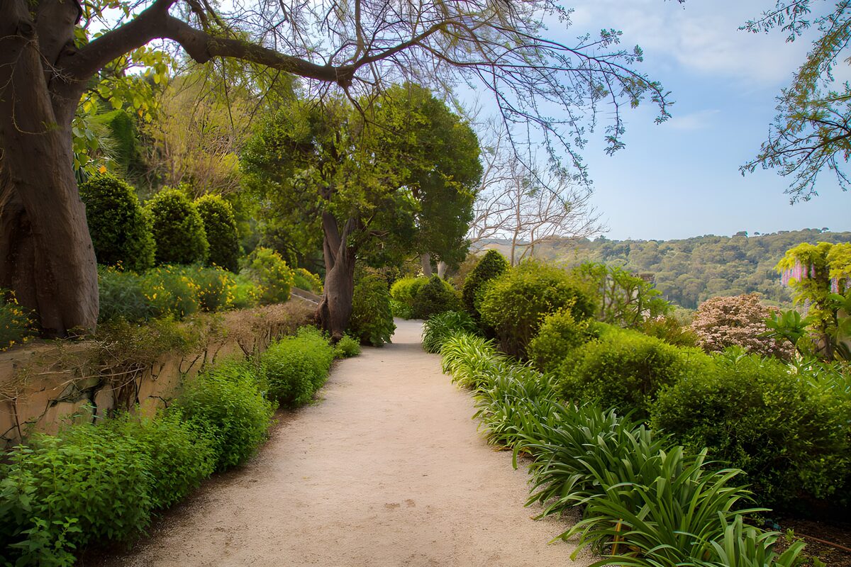 TPDE24045: Ruhiger Gartenweg in blühender Landschaft