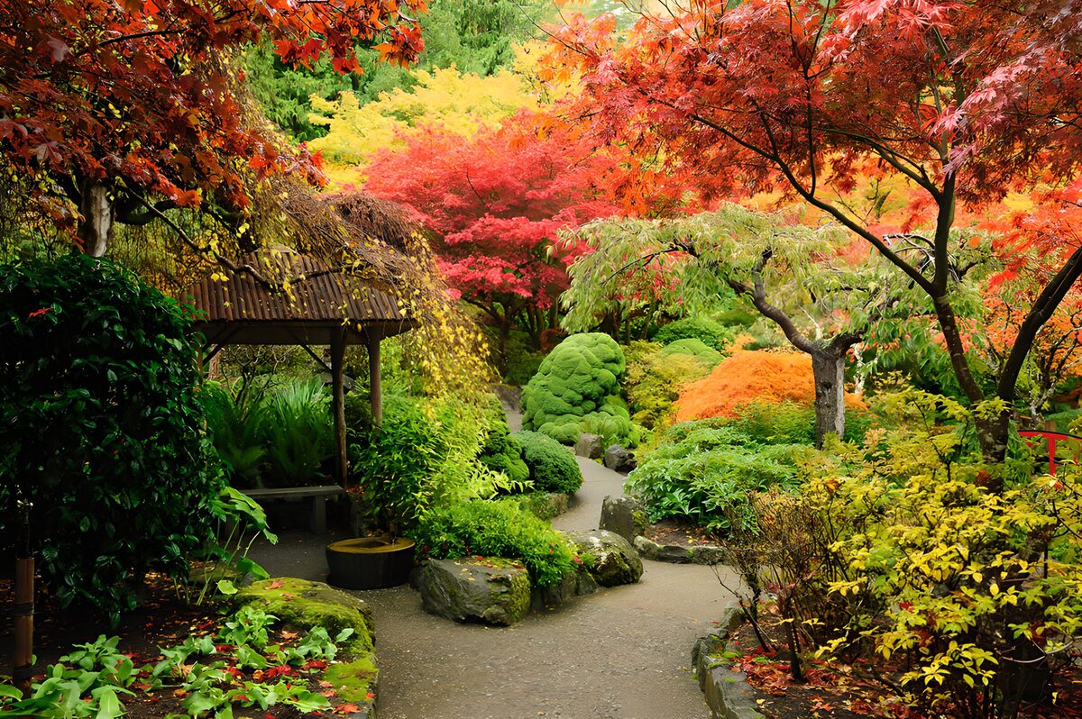 TPDE73671: Farbenfroher Herbstgarten