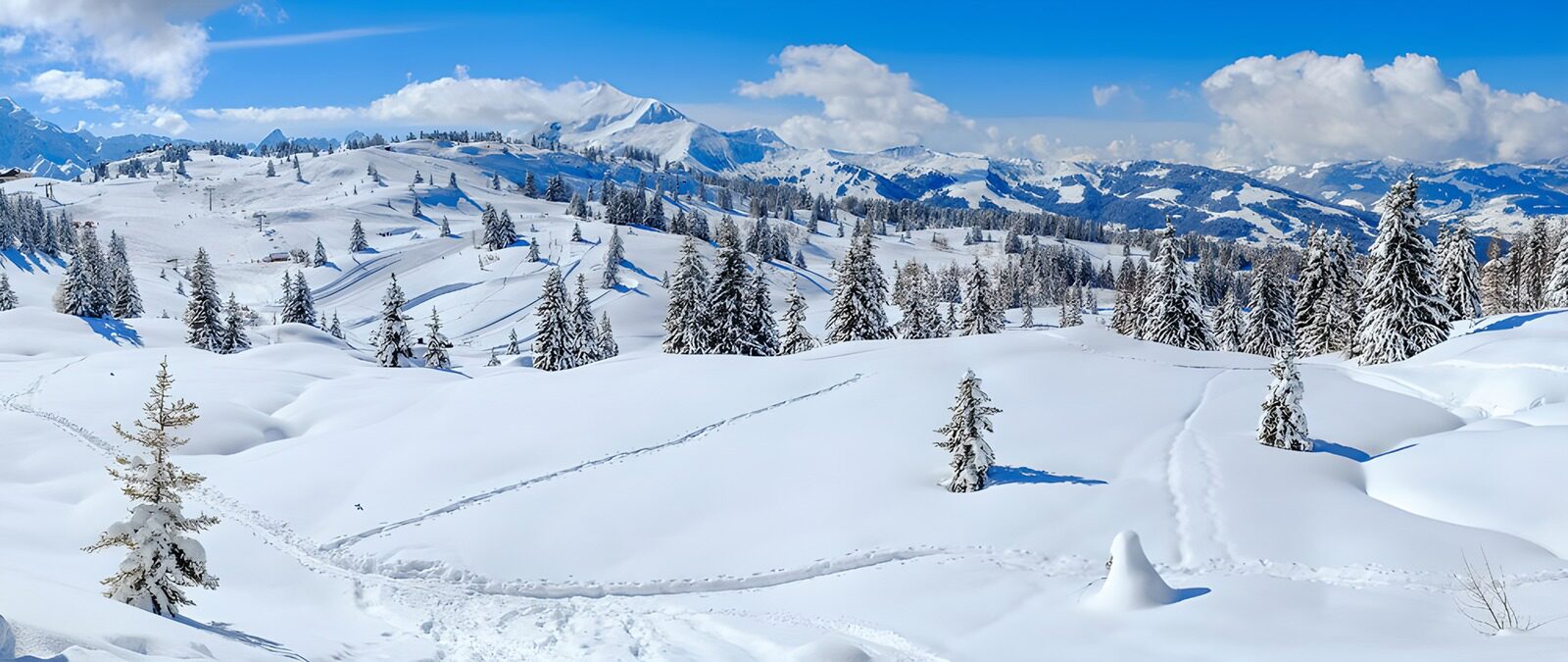 TPDE16933: Winterlandschaft im Gebirge