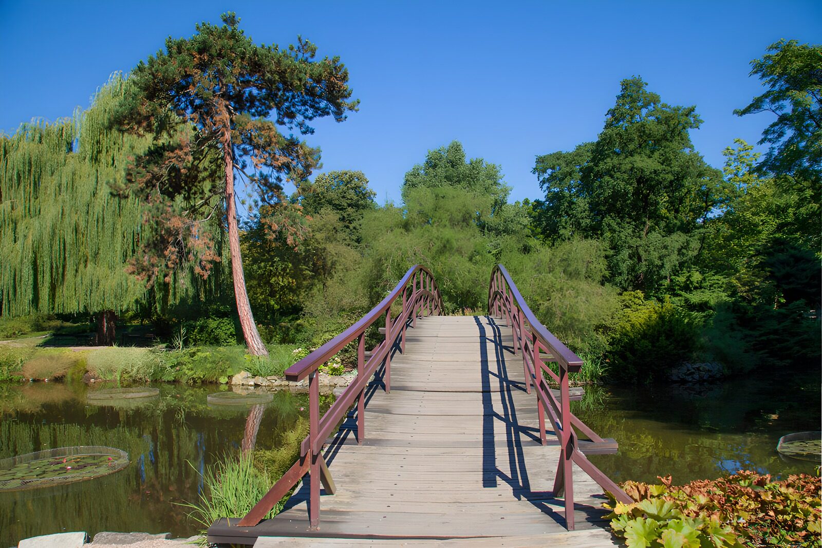TPDE59862: Brücke über den ruhigen Teich