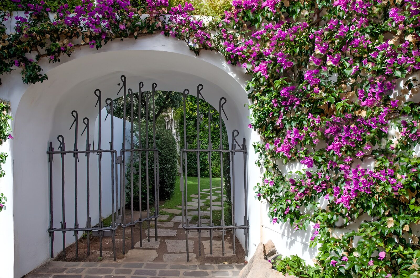 TPDE62036: Gittertür mit Bougainvillea