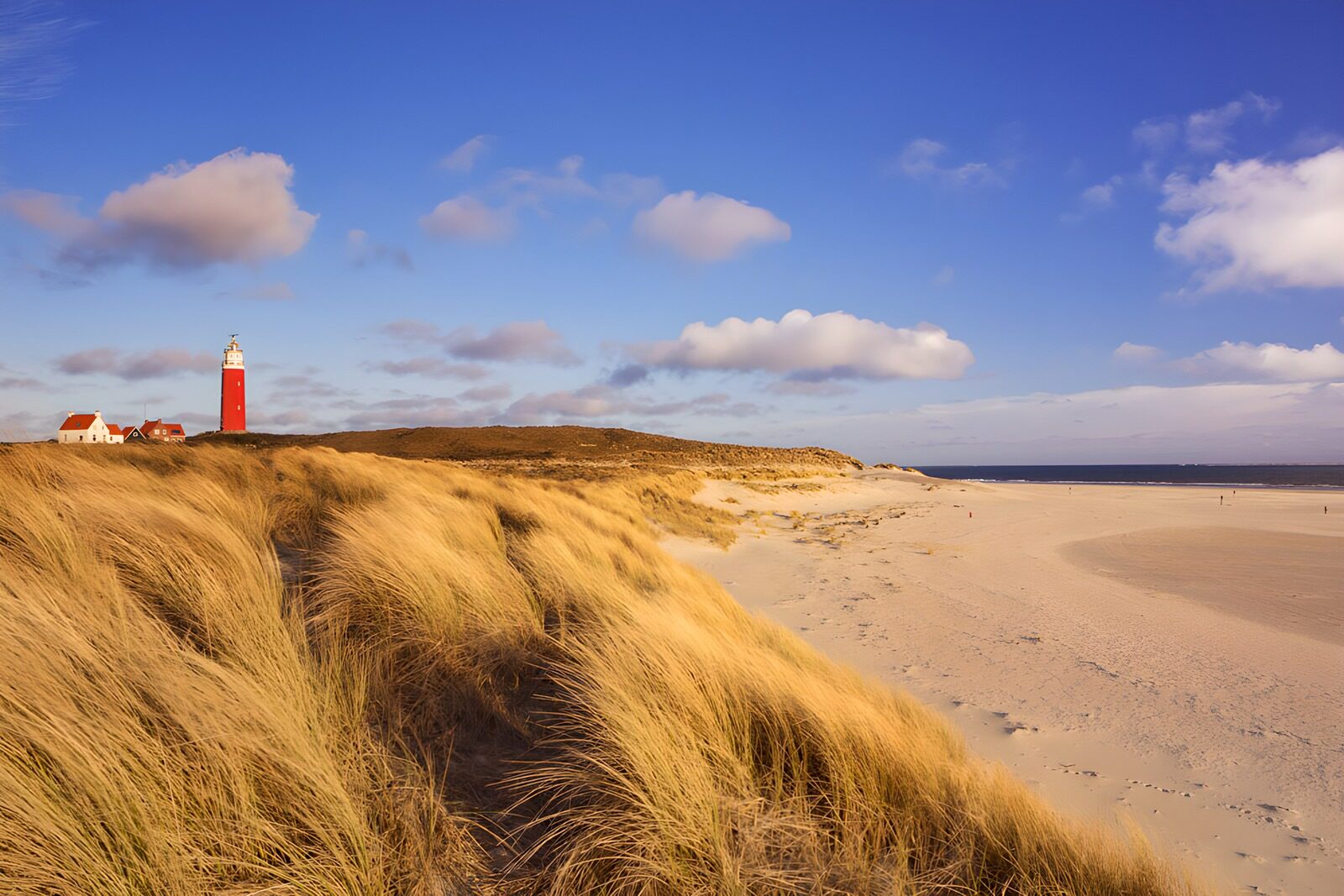 TPDE98716: Leuchtturm an der Küste von Texel