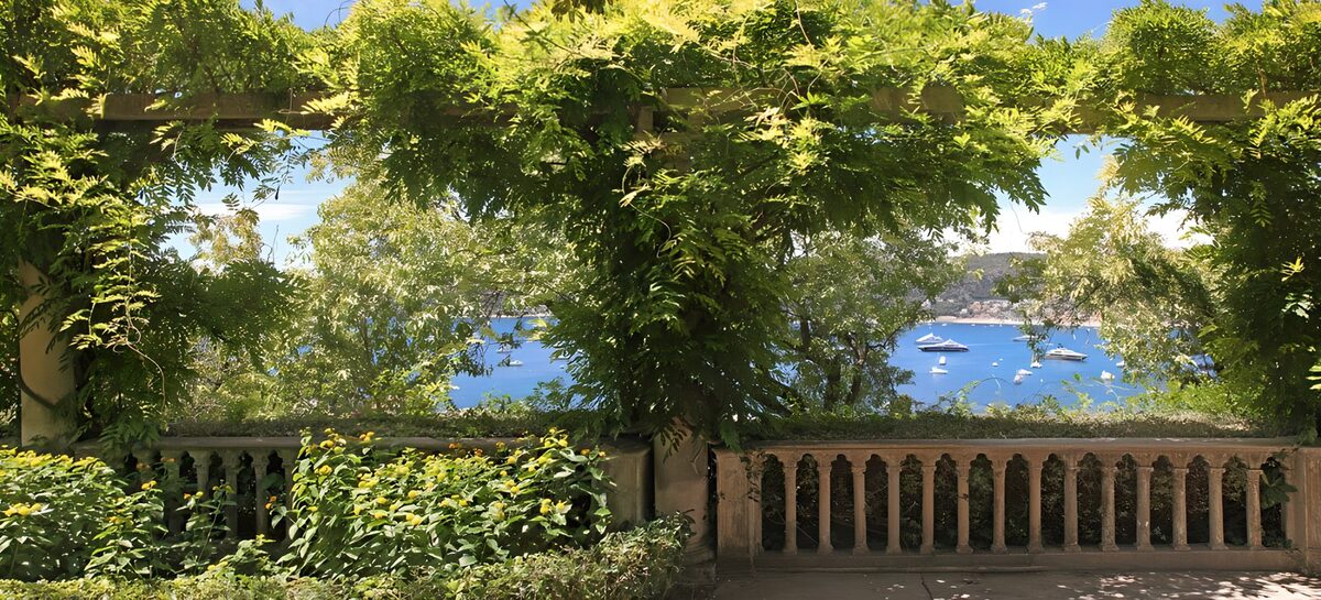 von einem  Park aus sieht man eine  Bucht mit Sportbooten, die dort vor Anker liegen.