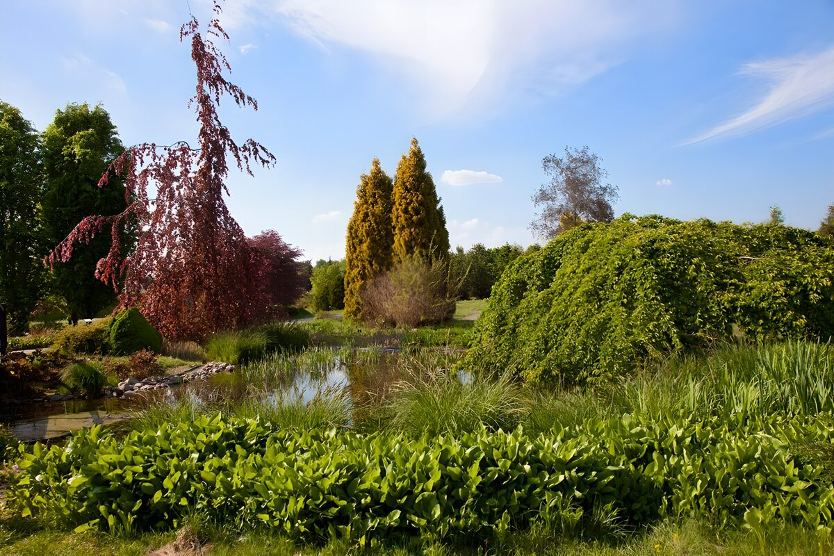 TPDE44139:  ein Teich in einem Park in Warschau