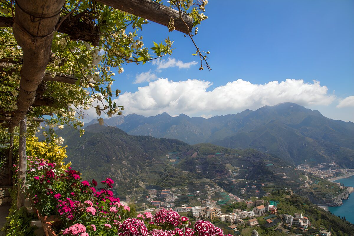 TPDE47180: Blumen und Berge an der Küste