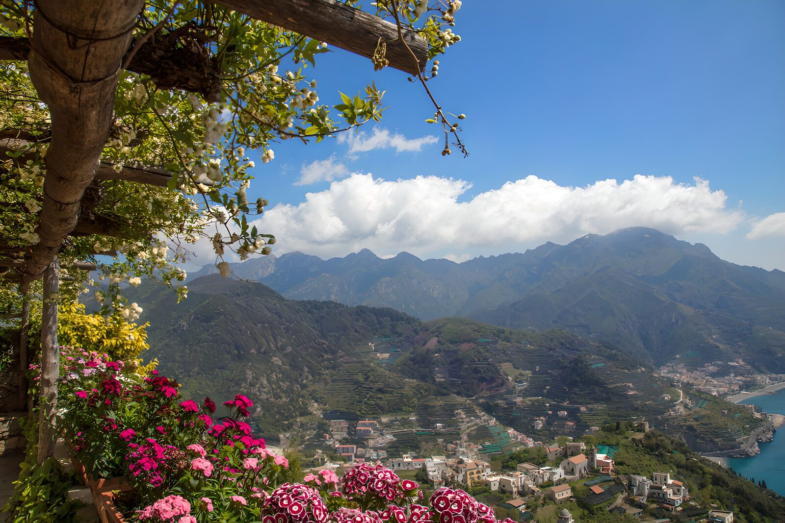 TPDE47180: Blumen und Berge an der Küste