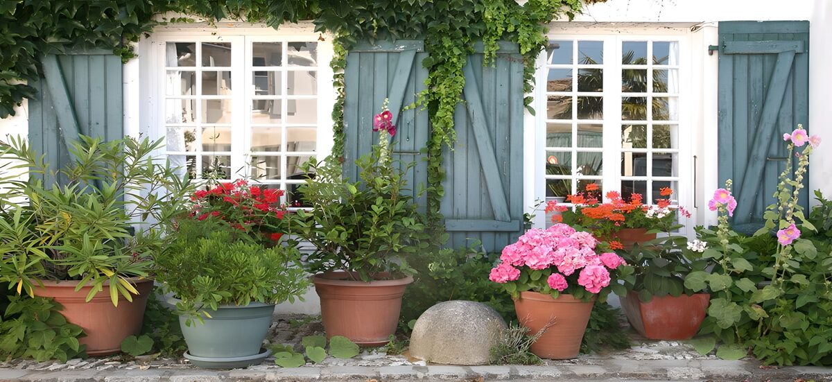 unterschiedliche Pflanzen vor einem typisch französischen Haus mit blauen Fensterläden