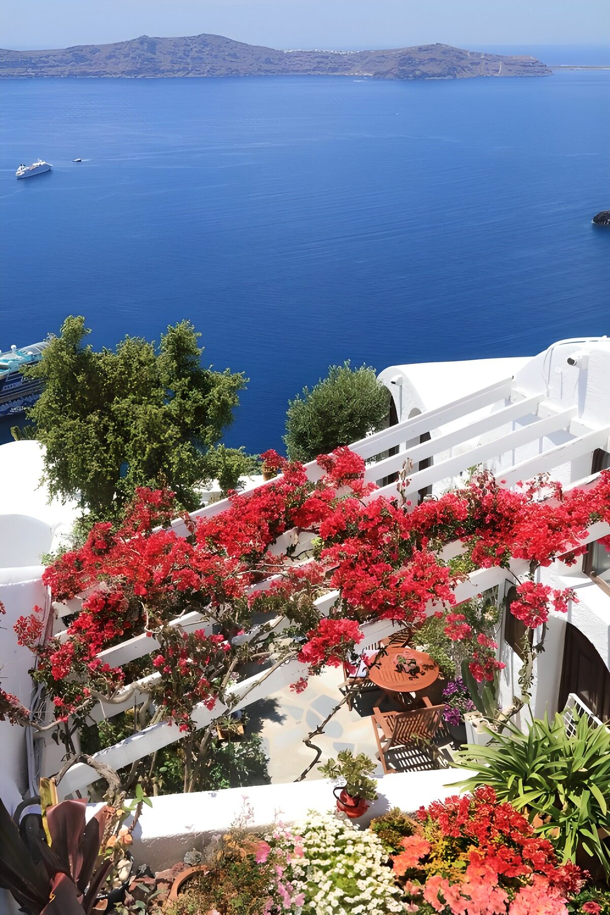 TPDE26227: Blühende Blumen mit Blick auf Santorin