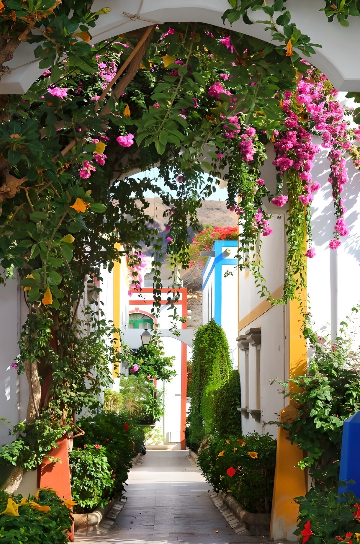 TPDE83322: Blühender Pfad im bunten Garten