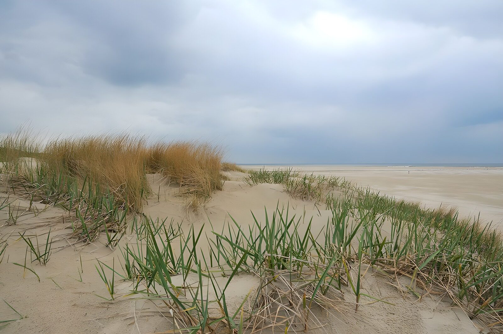 TPDE26340: Dünen am Strand entlang