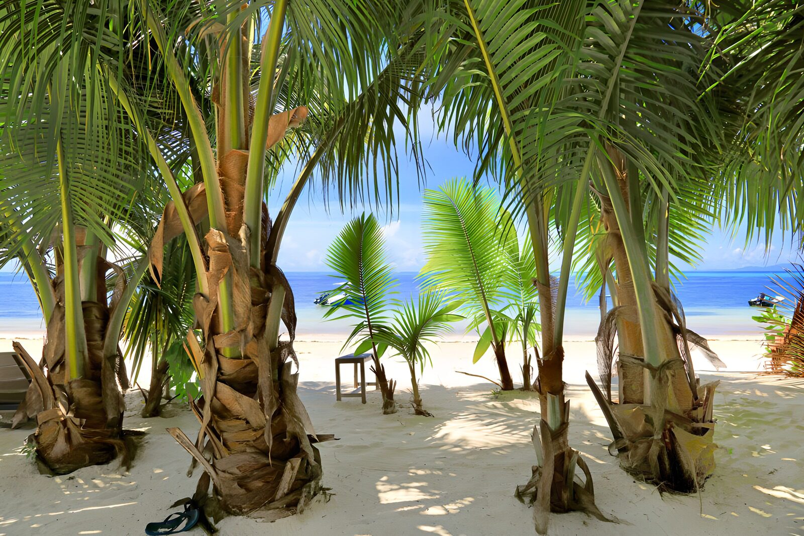 TPDE40713: Tropischer Strandblick zwischen Palmen