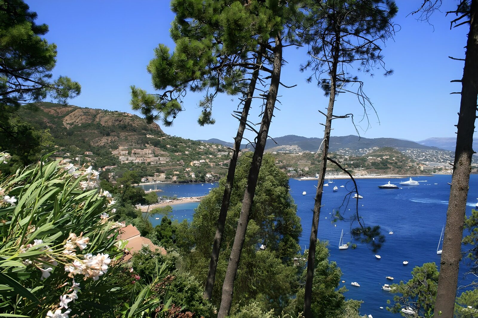TPDE43599: Aussicht auf eine Bucht, wo viele Sportboote vor Anker liegen