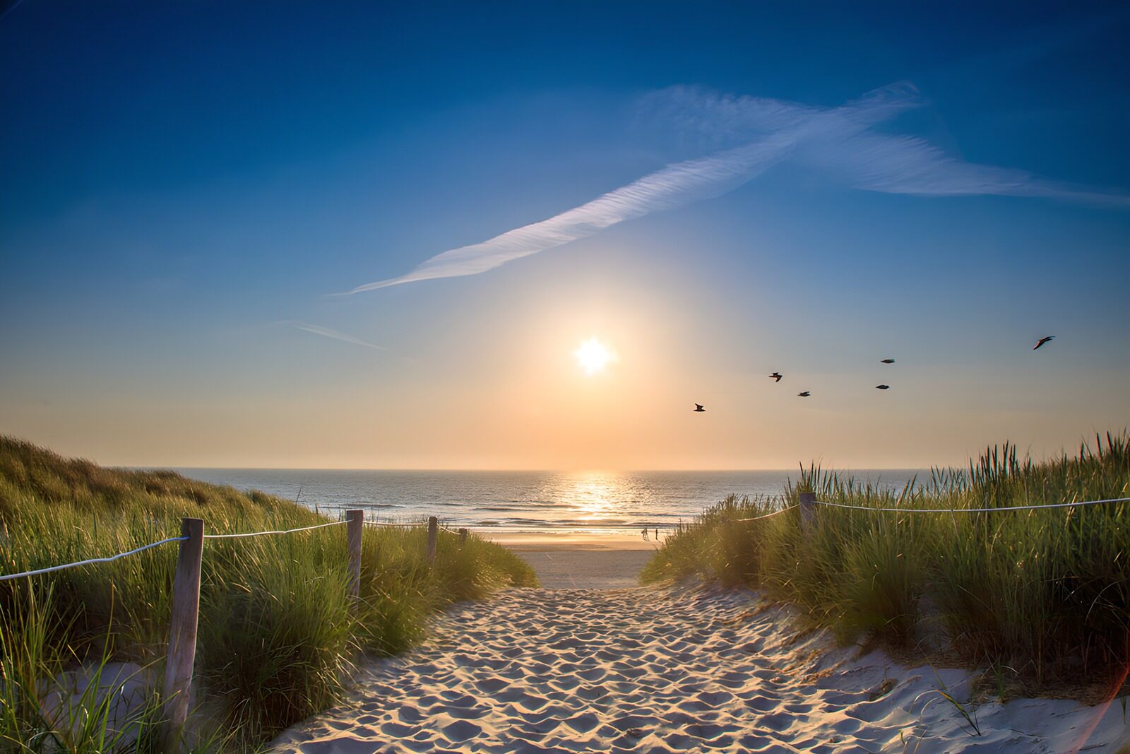 TPDE53043: Sonnenuntergang am Strand