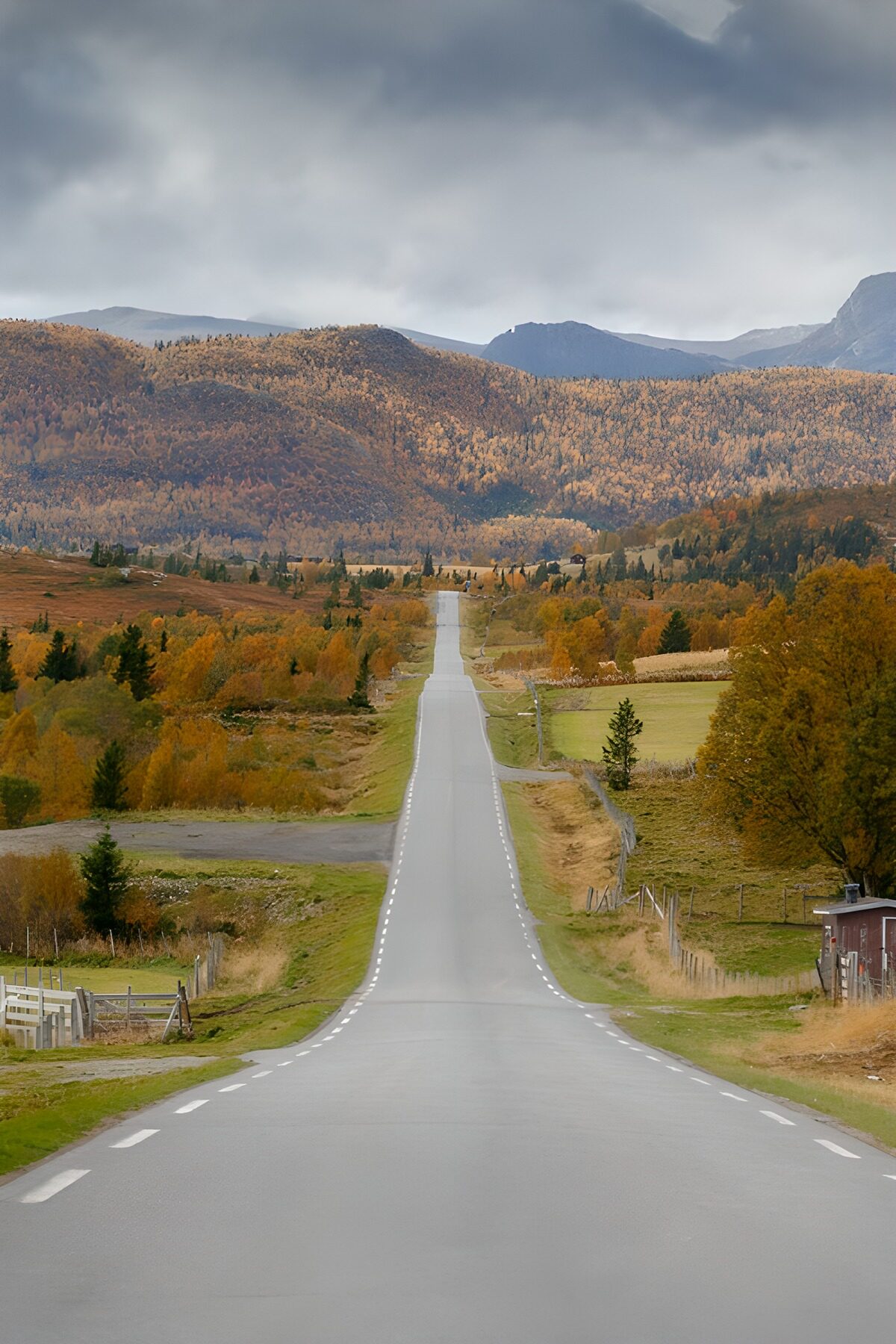 TPDE38895: Herbstliche Straße in den Bergen