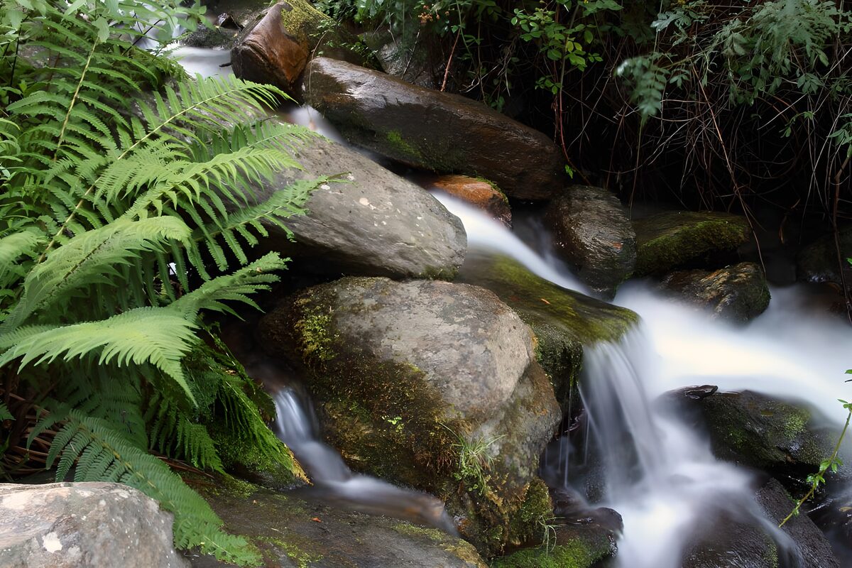 das Wasser sucht sich einen Weg zwischen Felsen hindurch zum Tal