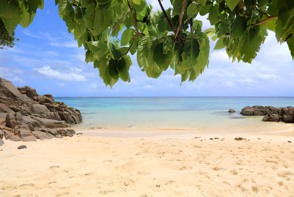 TPDE94349: Paradiesischer Strand mit klarem Wasser