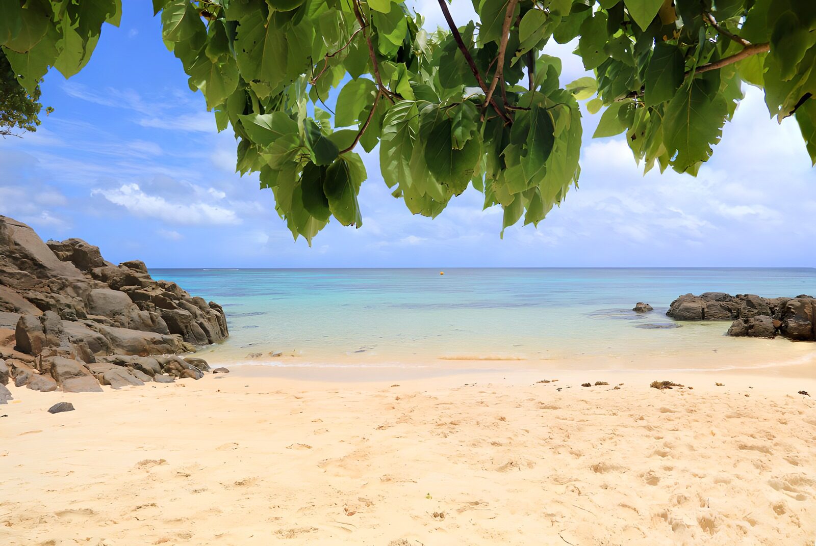TPDE94349: Paradiesischer Strand mit klarem Wasser