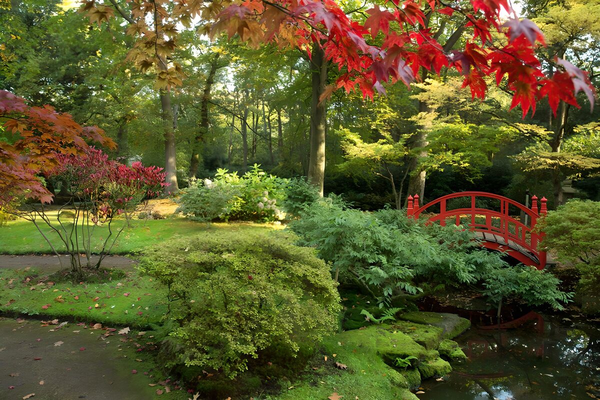 ein japanischer Garten im Herbst