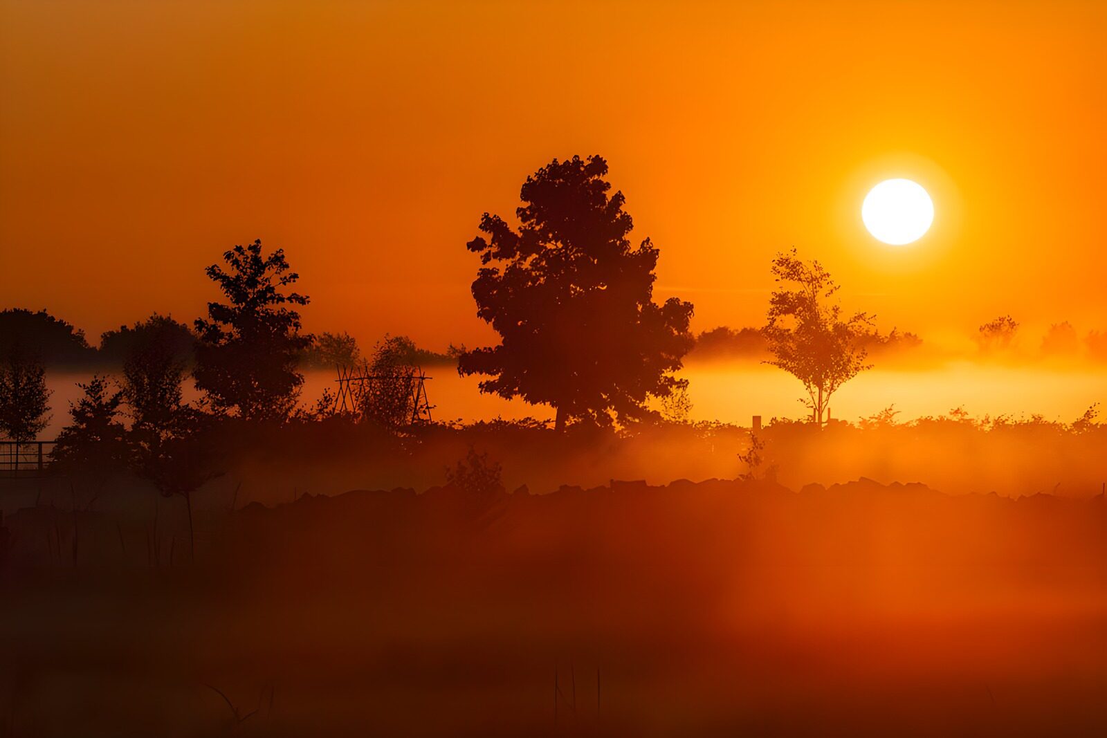 TPDE96504: Sonnenuntergang über nebligem Feld