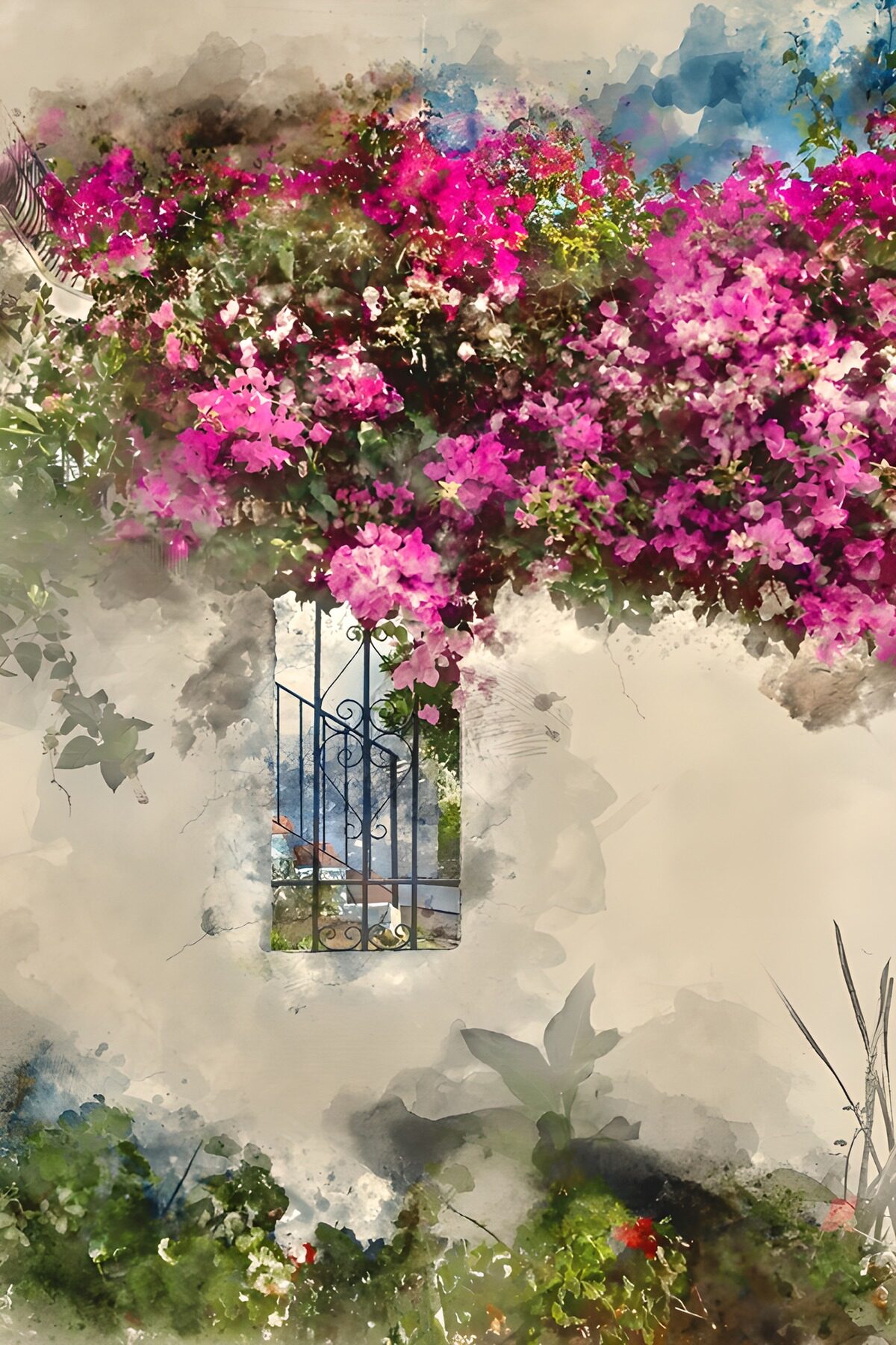 Blühende Bougainvillea vor Fenster