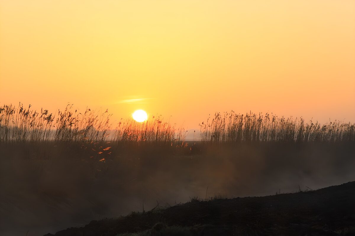 TPDE47204: Abendsonne im Polder