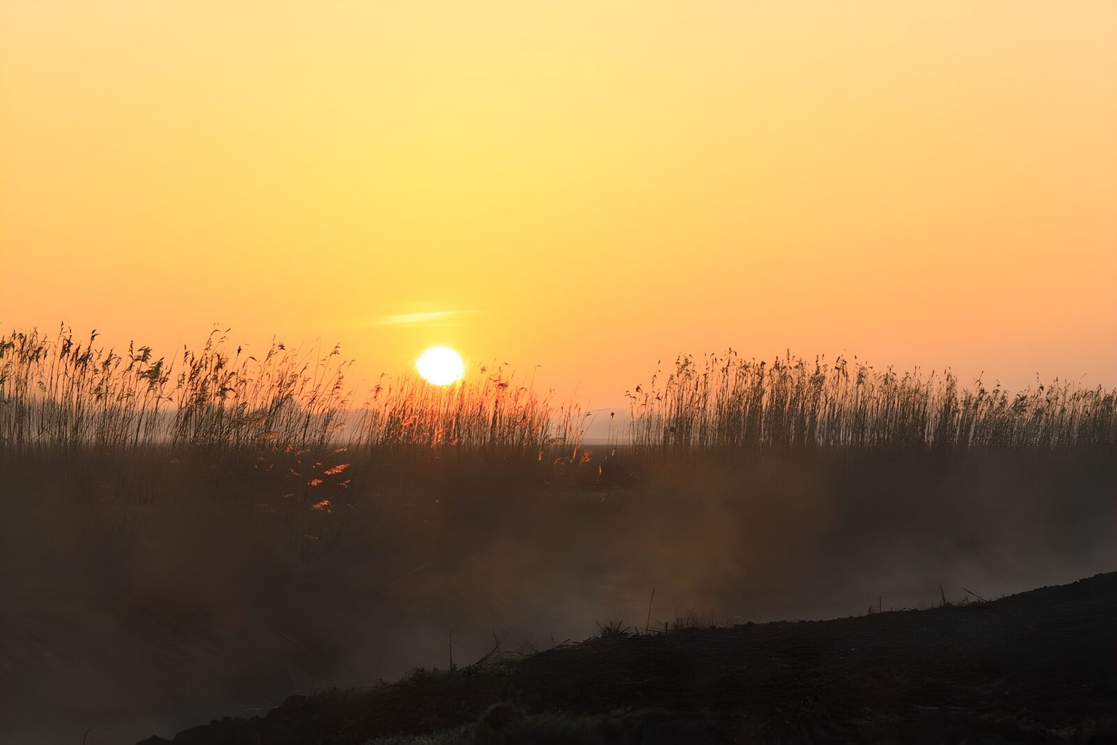 TPDE47204: Abendsonne im Polder