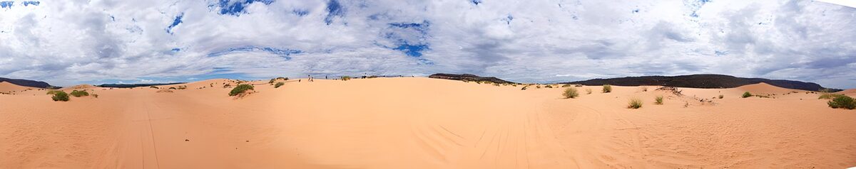 rosafarbene Sanddünen in dem National Park" Coral Pink Dunes State Park"  in Utah (USA)